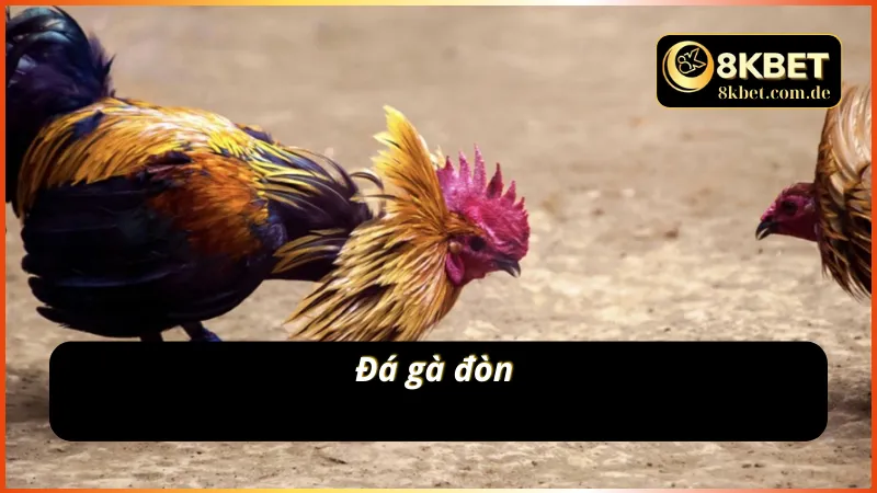 Phiên bản AOG đá gà thu nhiều nhiều cược thủ tham gia 